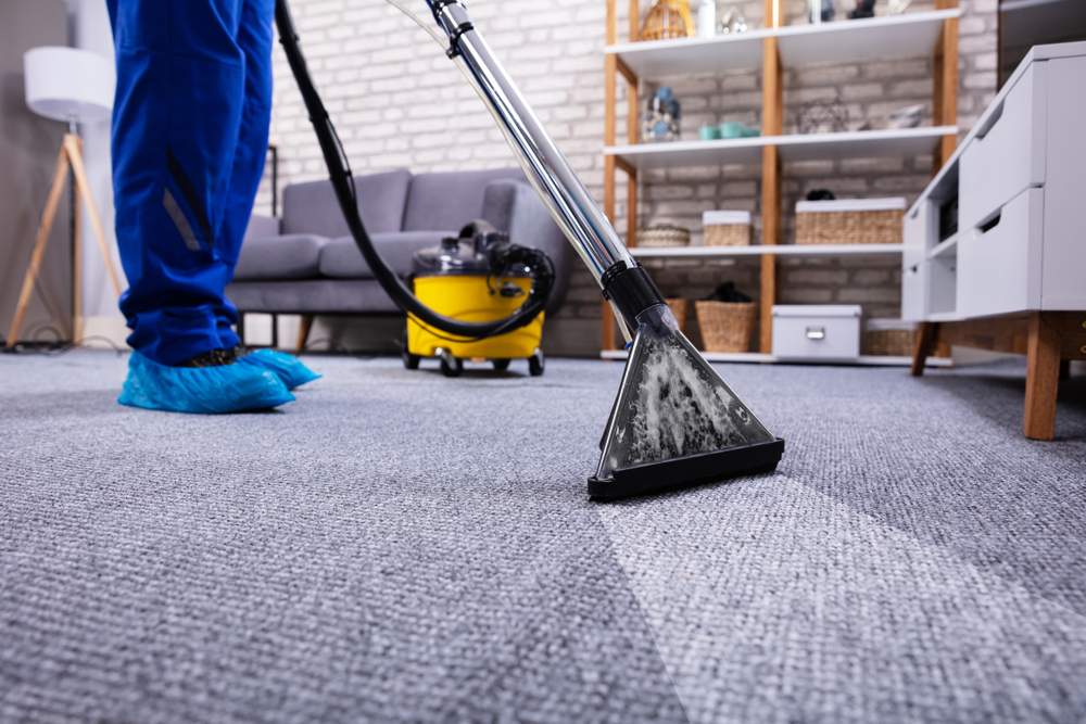 5 Reasons Why T.E.G Carpet Cleaning in Milwaukee is Popular